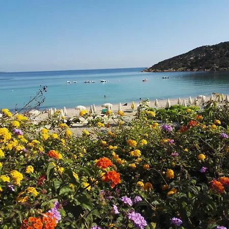 Edera Baja Sardinia